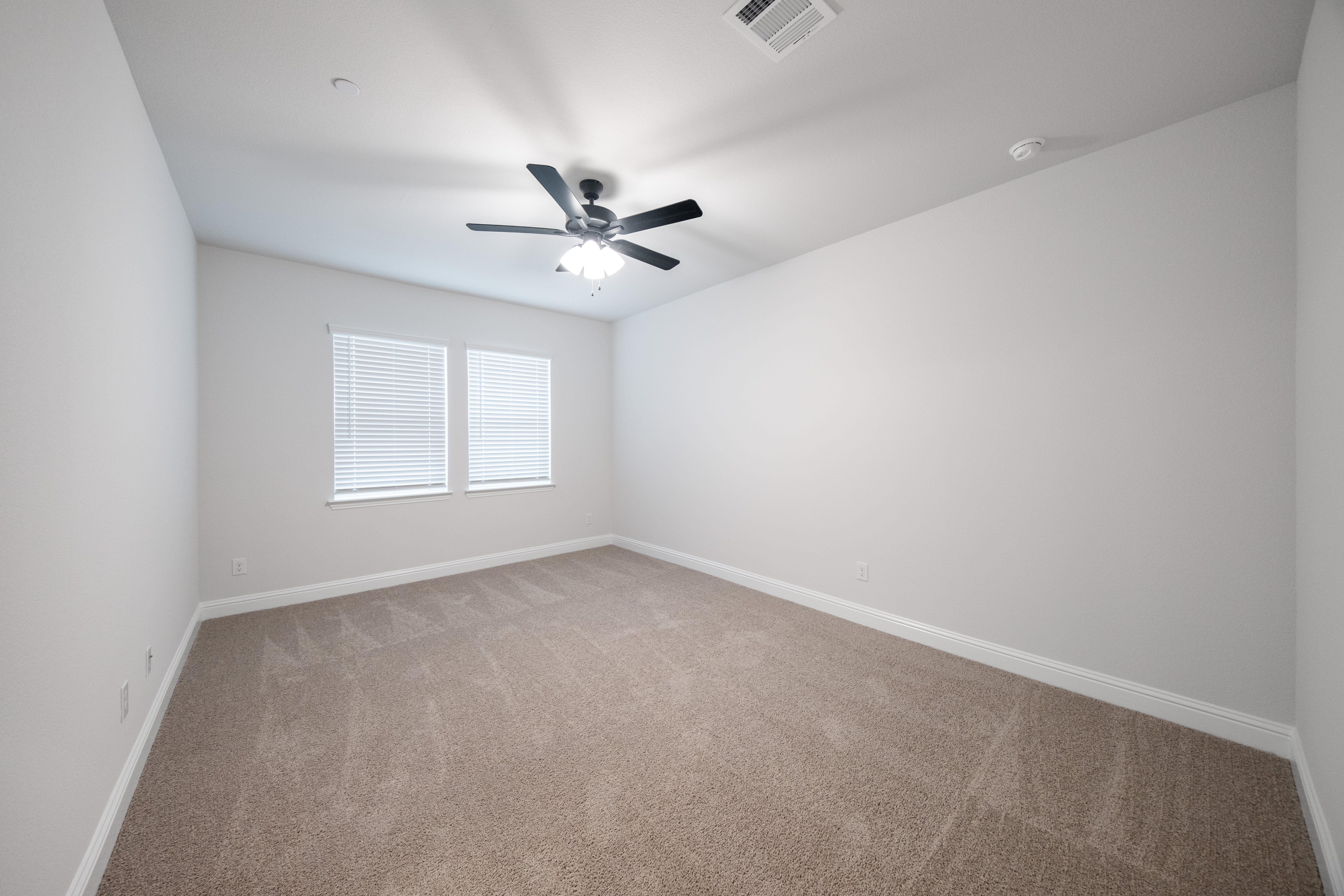 open primary bedroom with carpet and windows