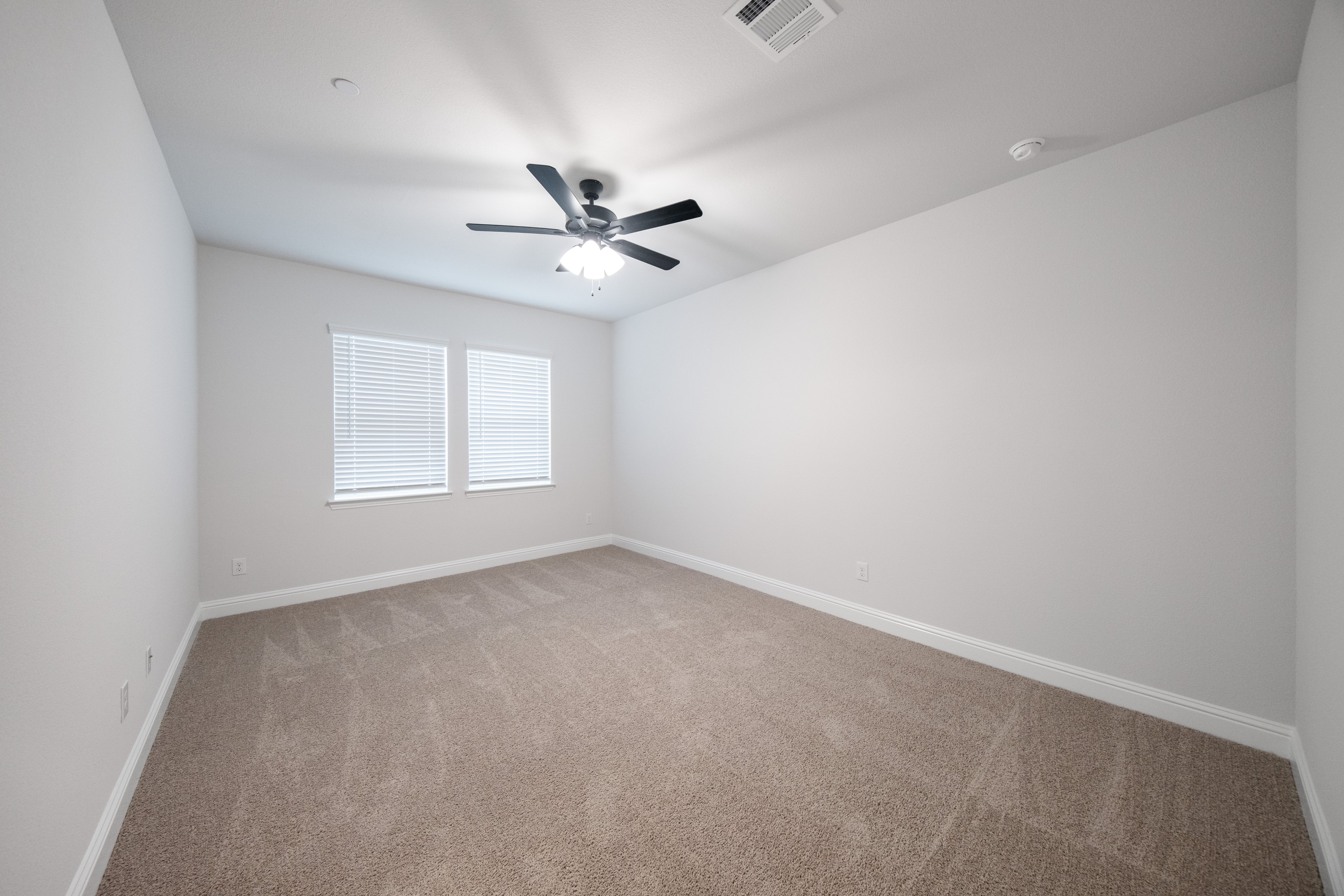 open primary bedroom with carpet and windows