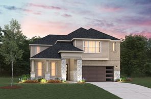 20522 Galineers Cob Dr (Summerfield)