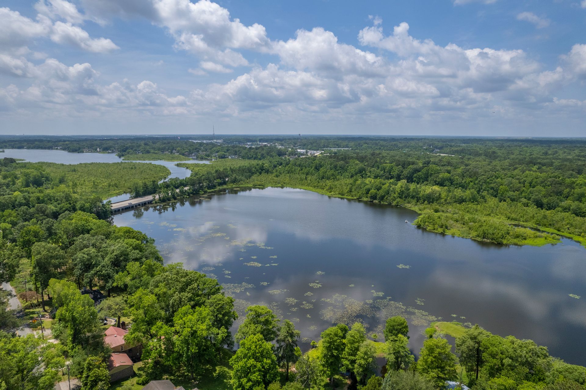 Pond Views