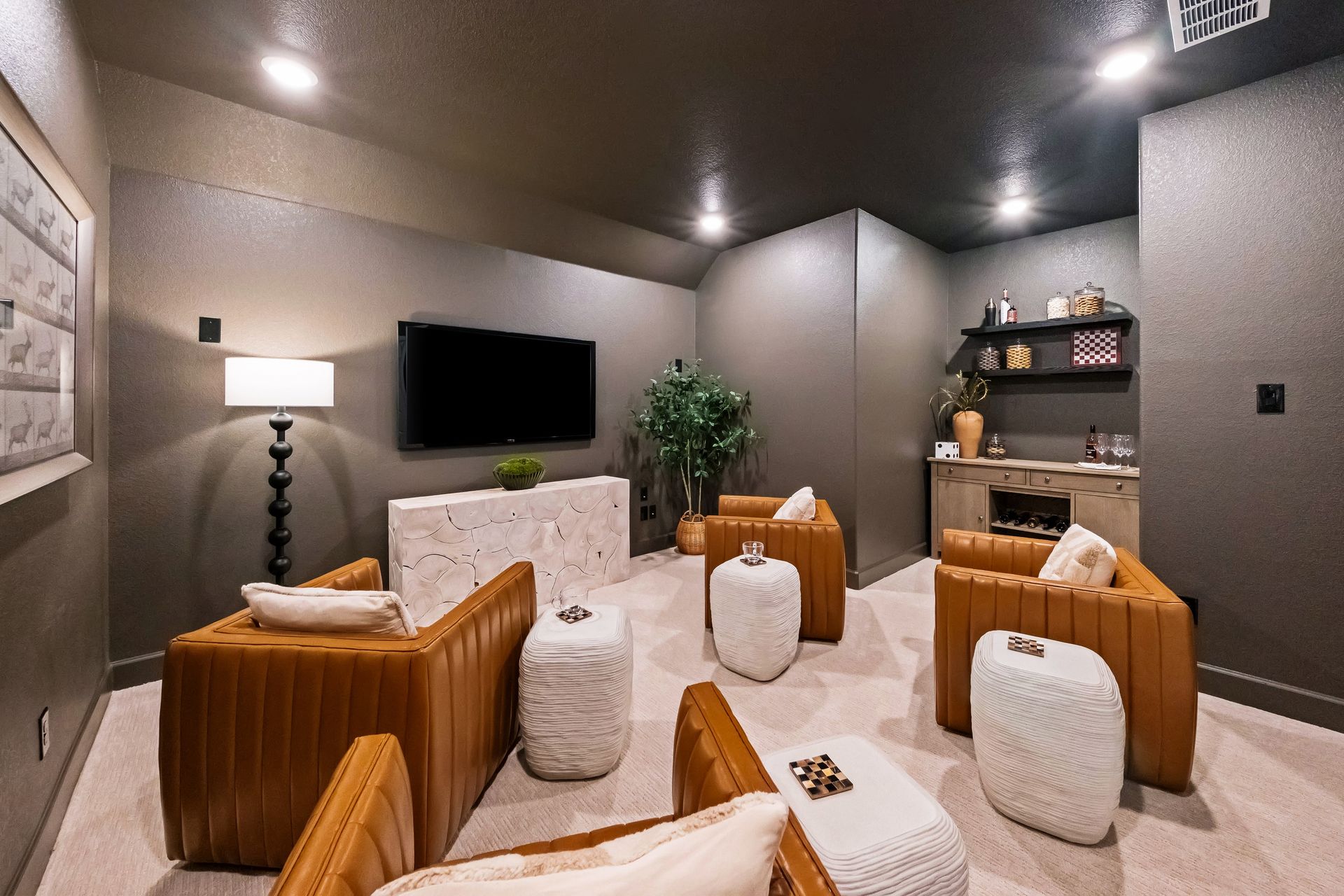 Brazos Media Room