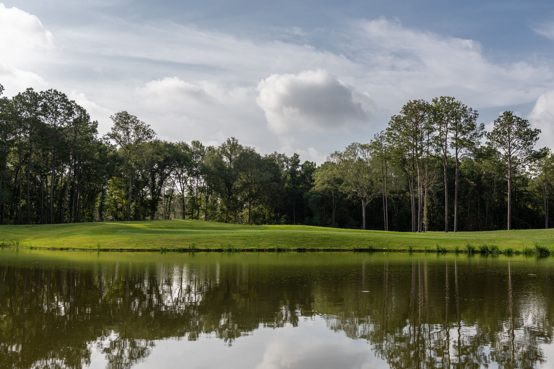 Golf Course and Pond