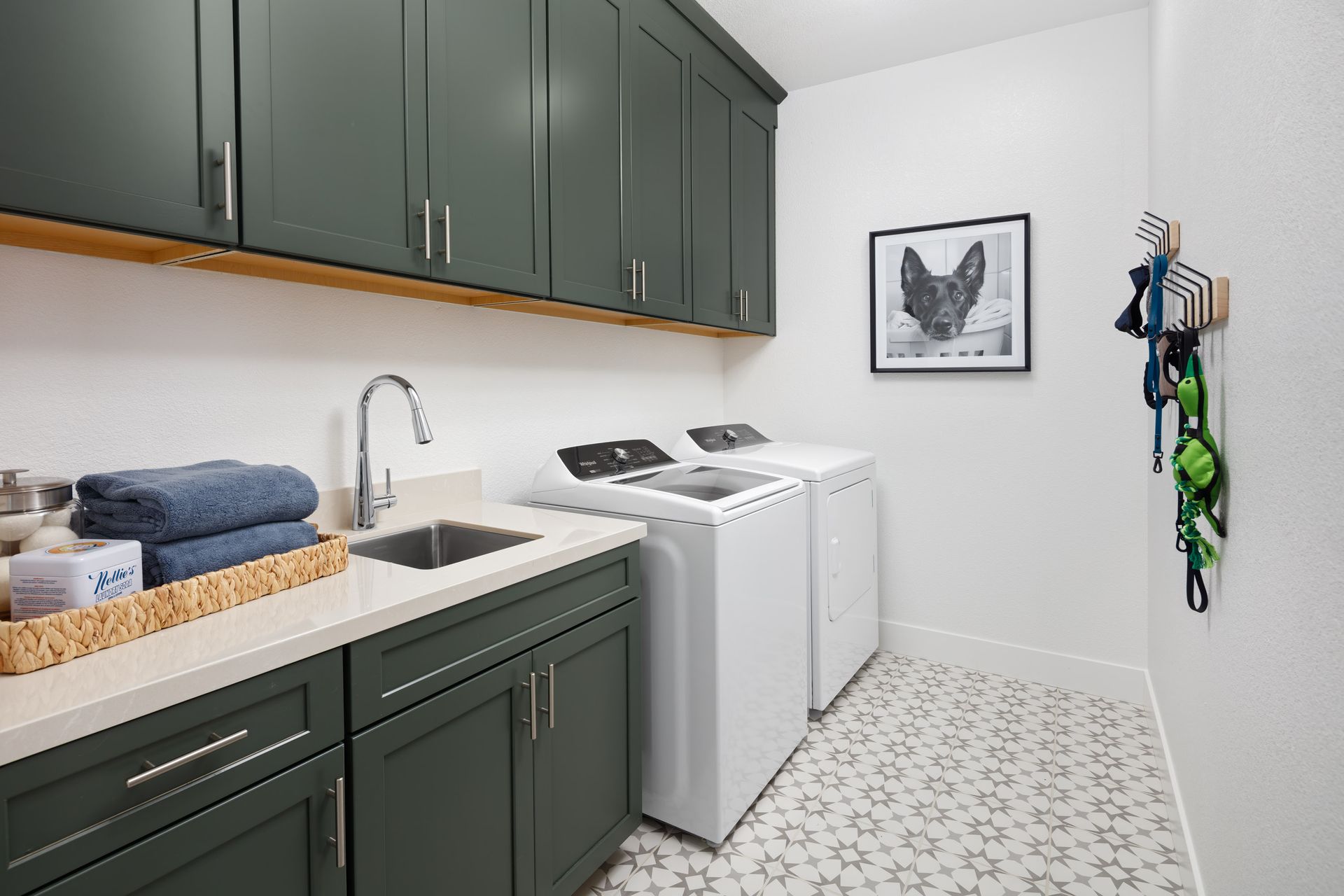 Eucalyptus Laundry Room