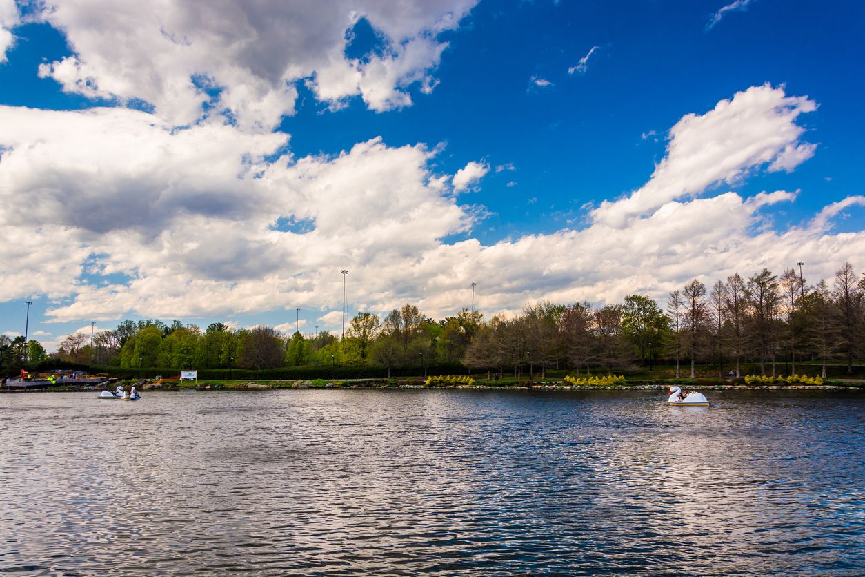 Rio Washingtonian Center Lake