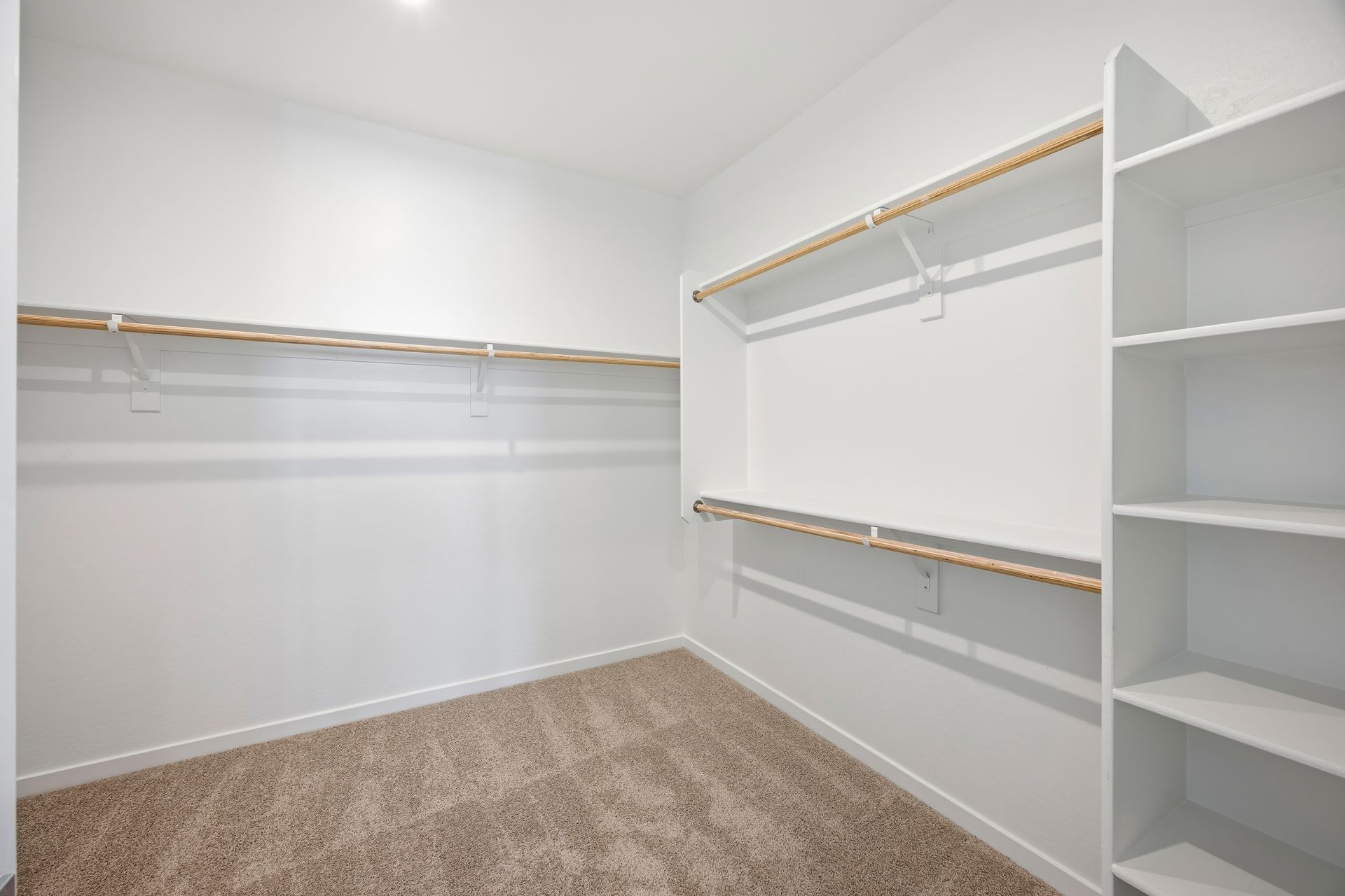 Centennial Primary Bedroom Walk-in Closet