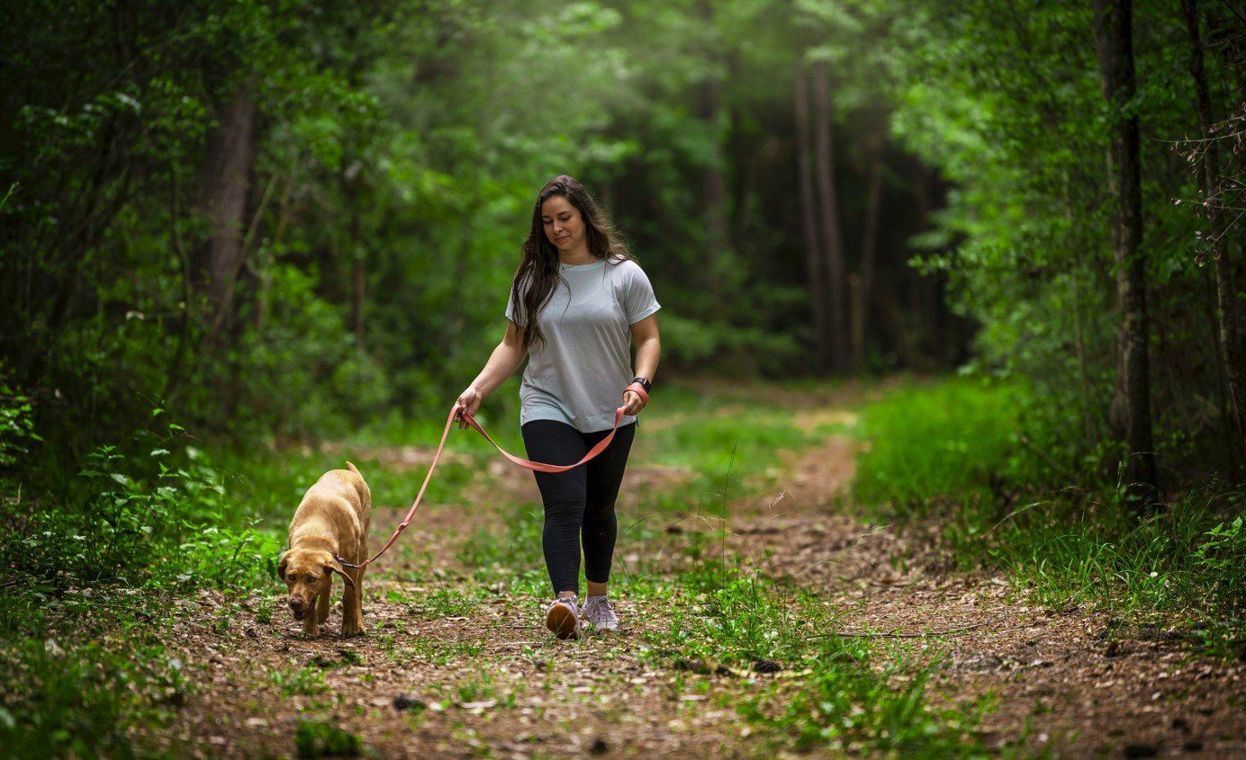 Hiking Trails