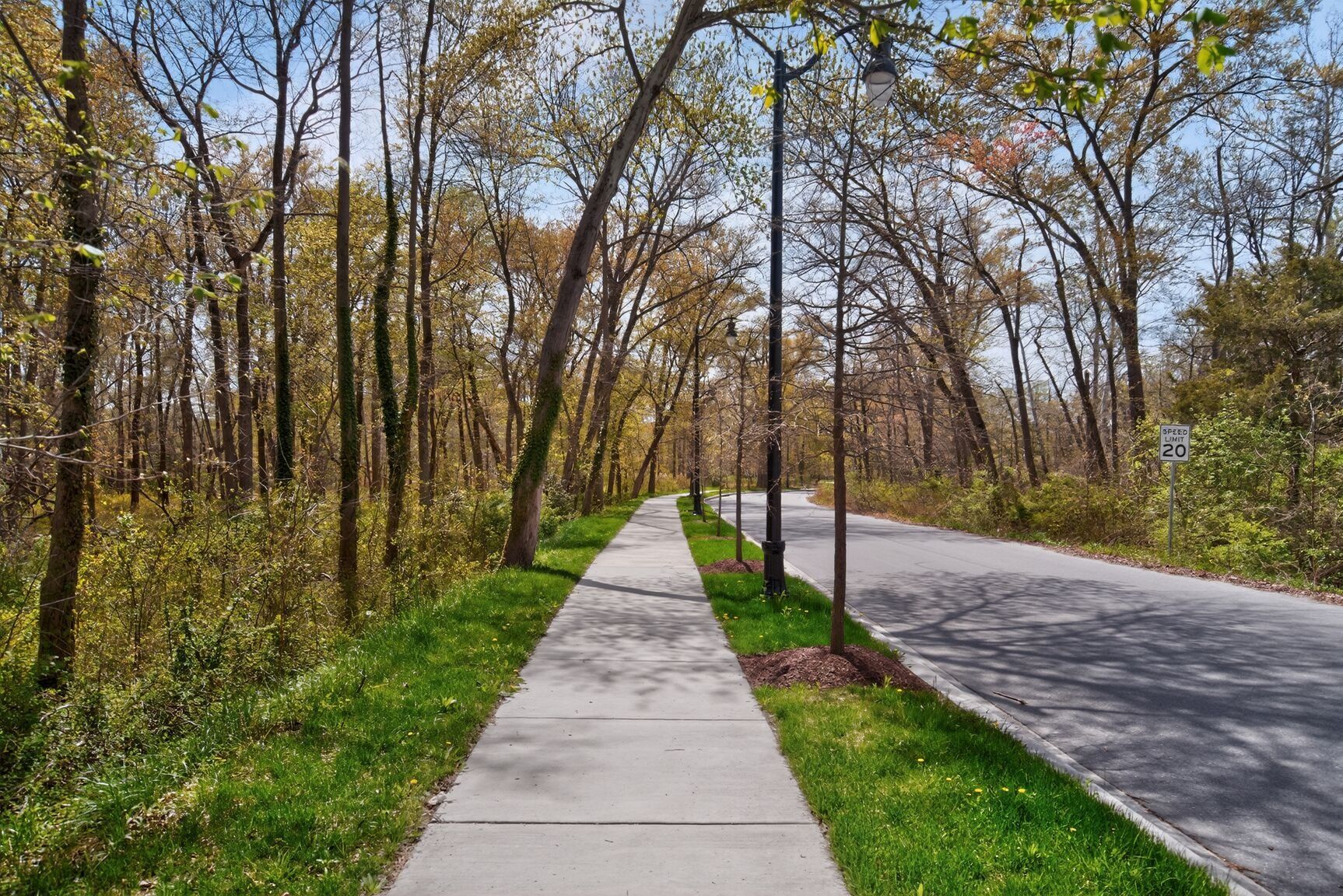 Walking Trails
