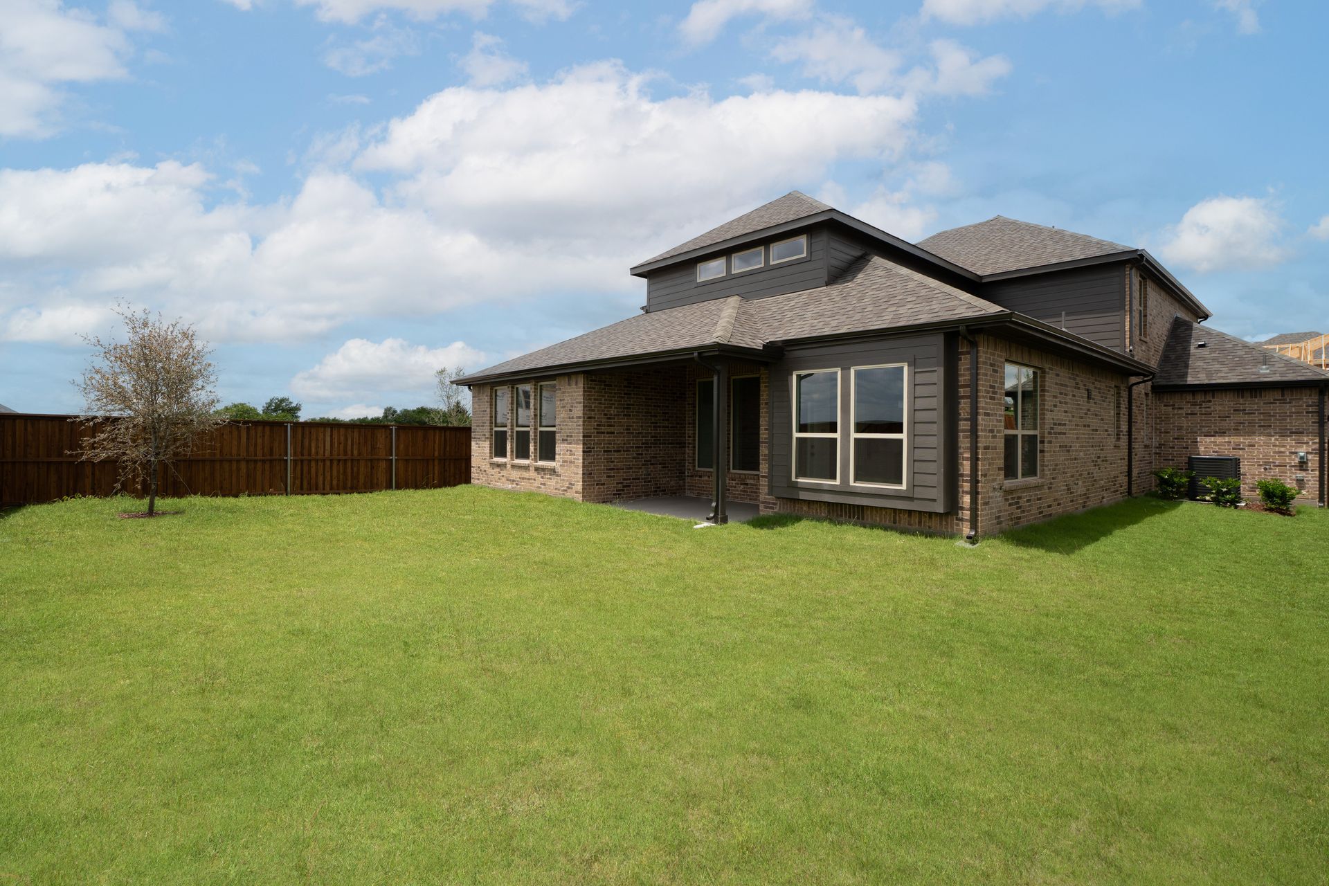 Summerfield Backyard