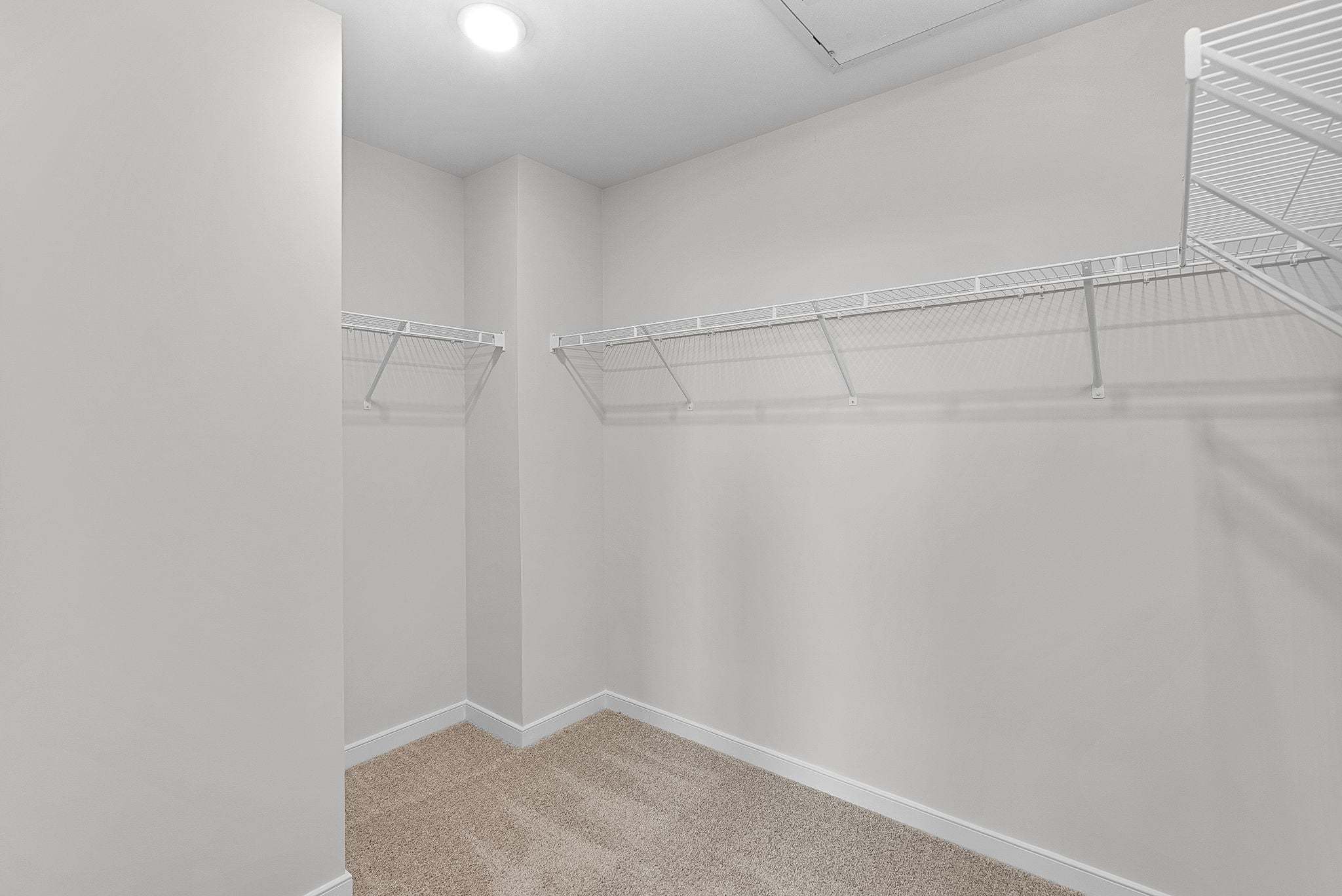 Harding Primary Bedroom with Walk-In Closet