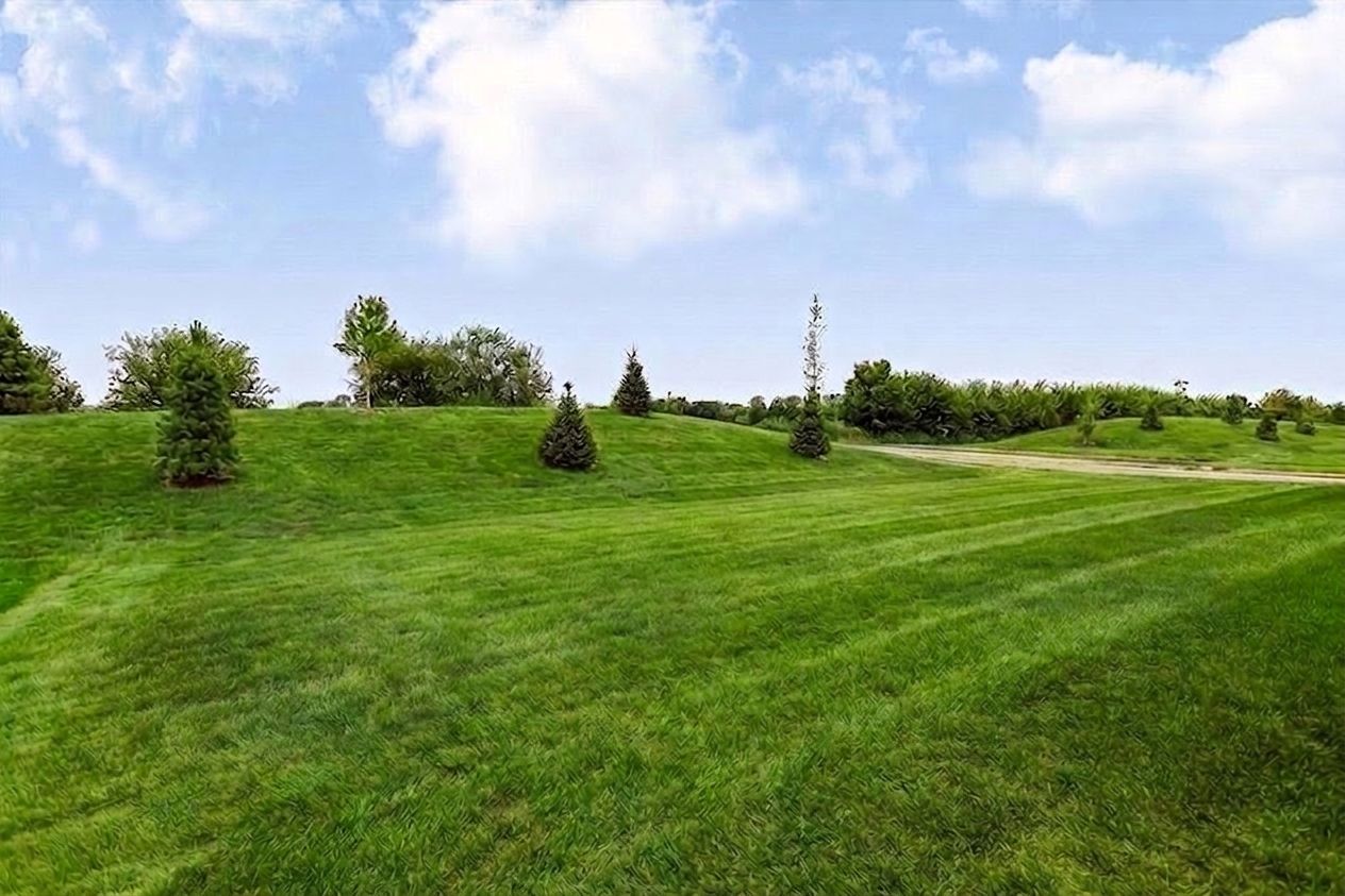 Windsor Backyard