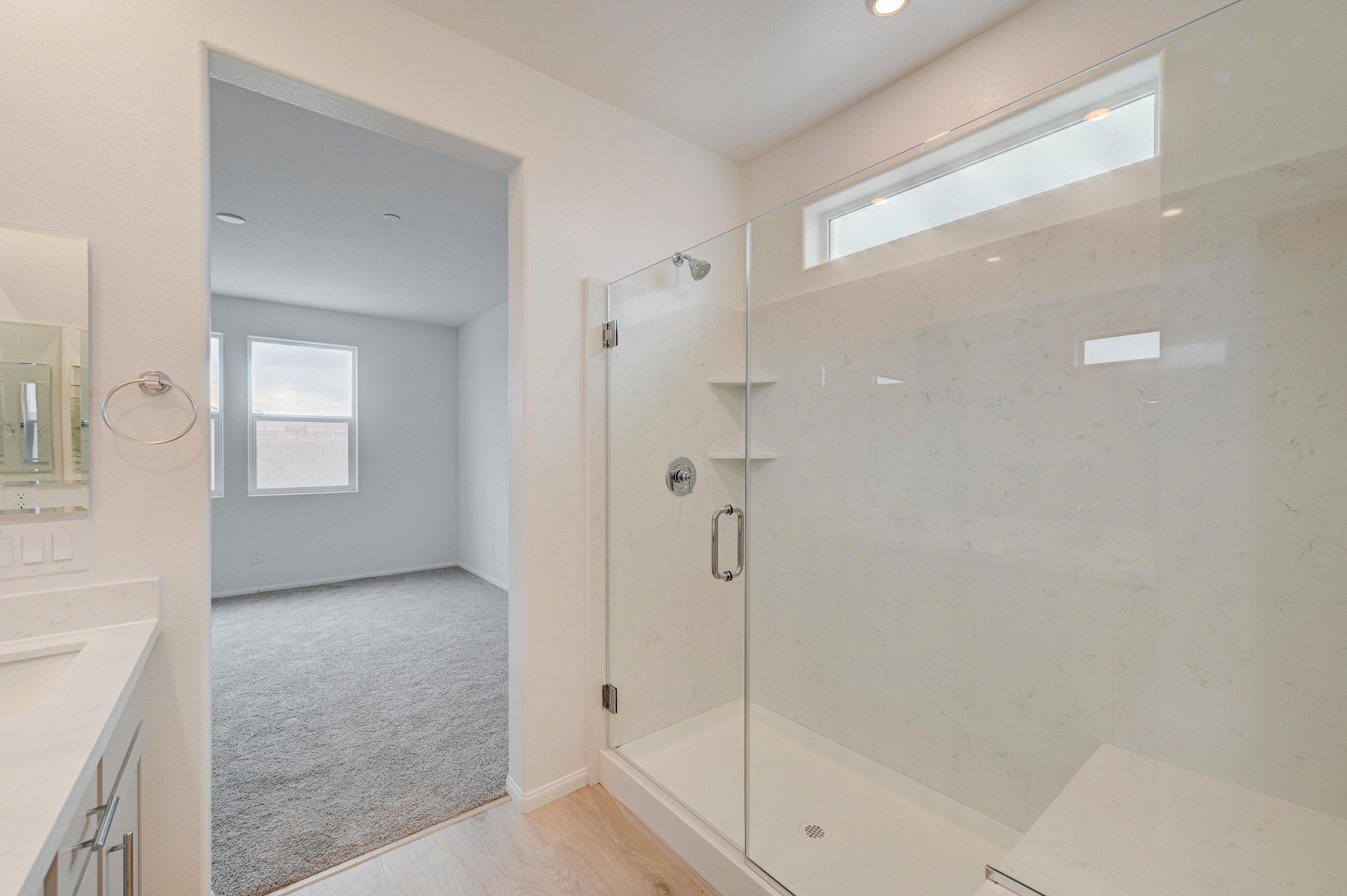 Willow Primary Walk-in Shower