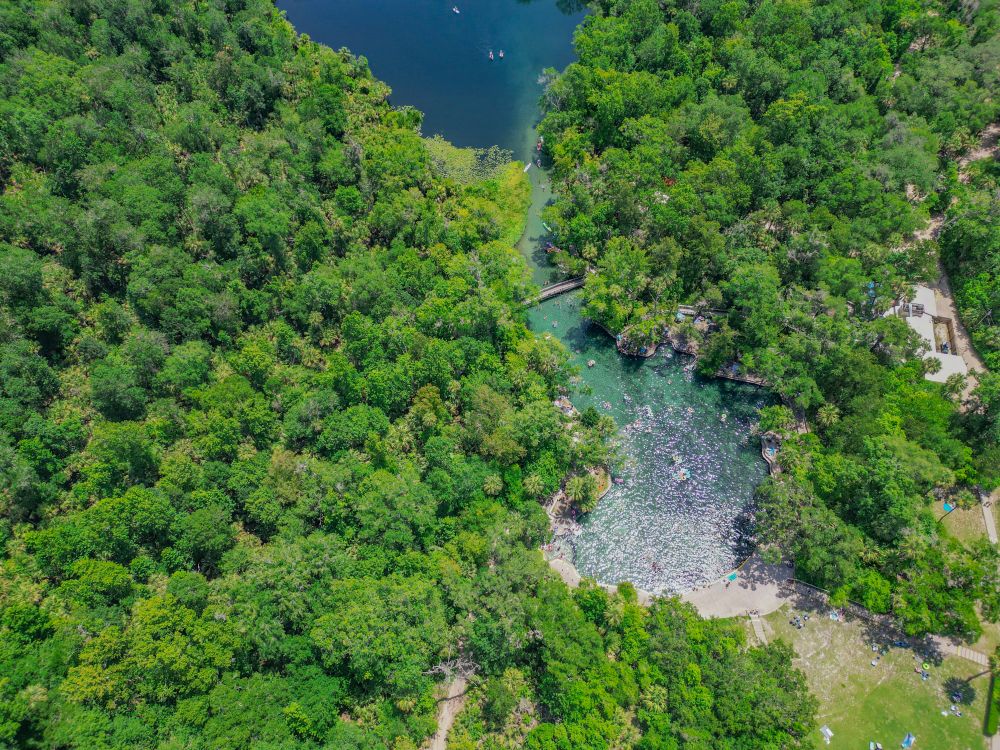 Wekiva Springs