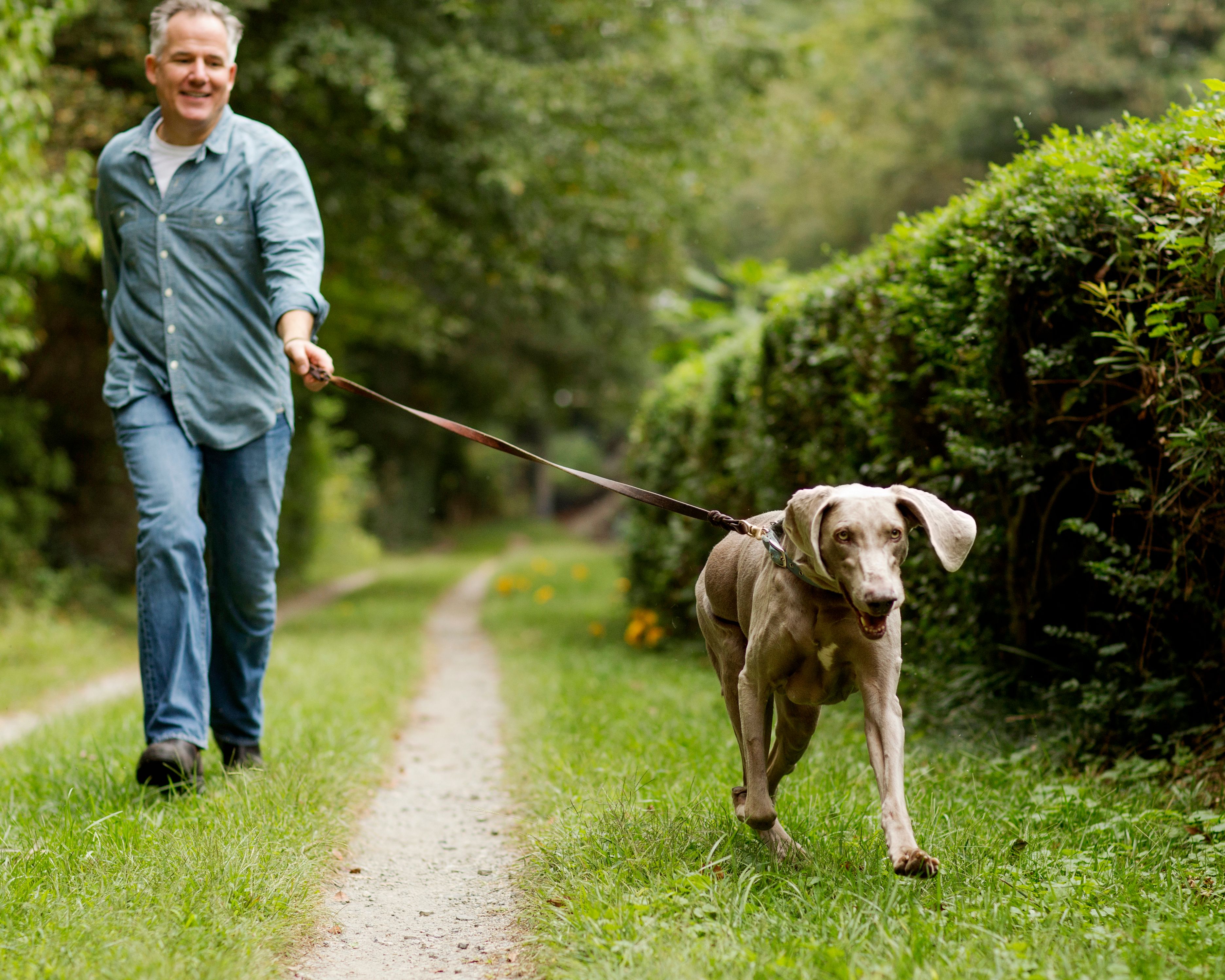 Walking Trails