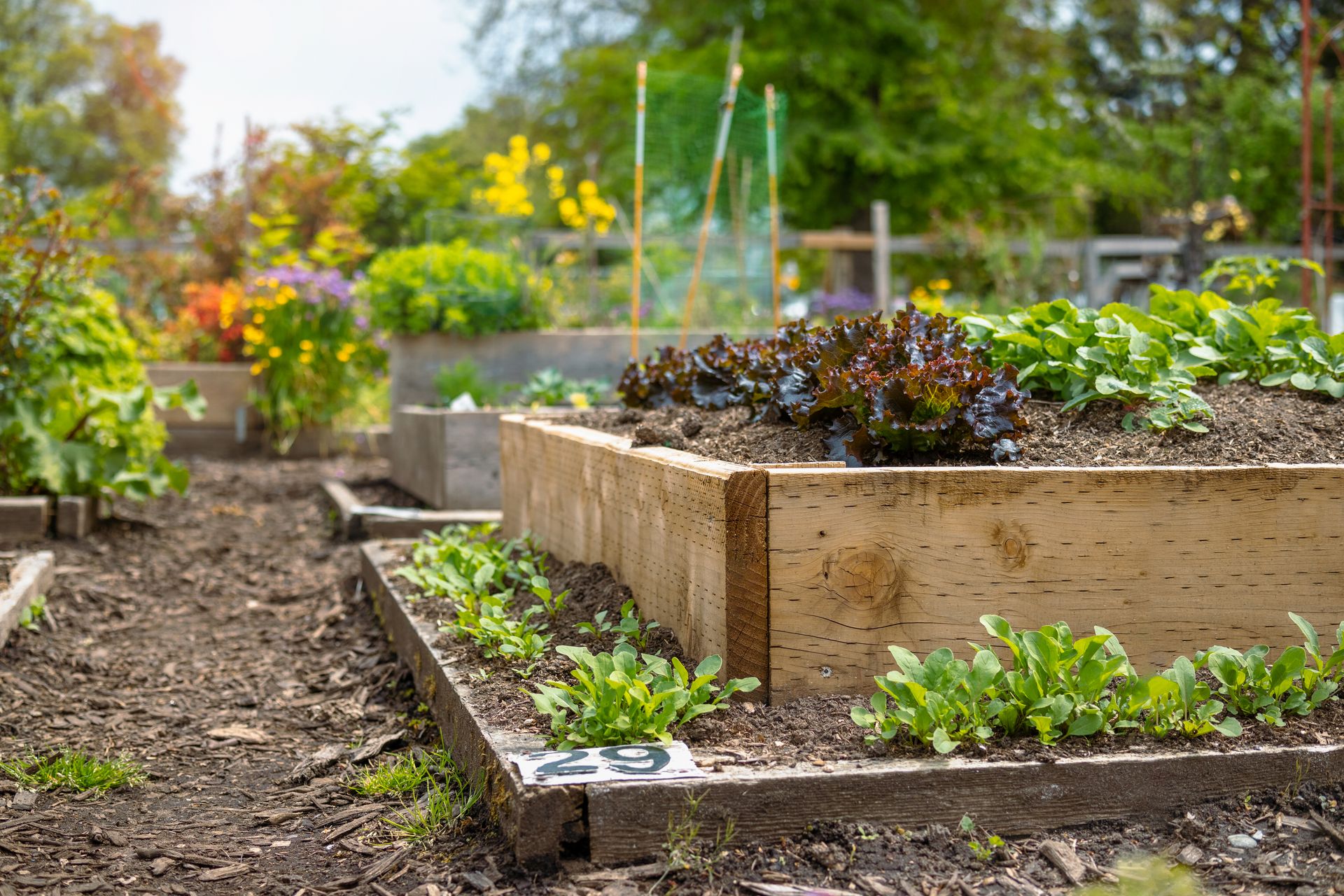 Community Garden