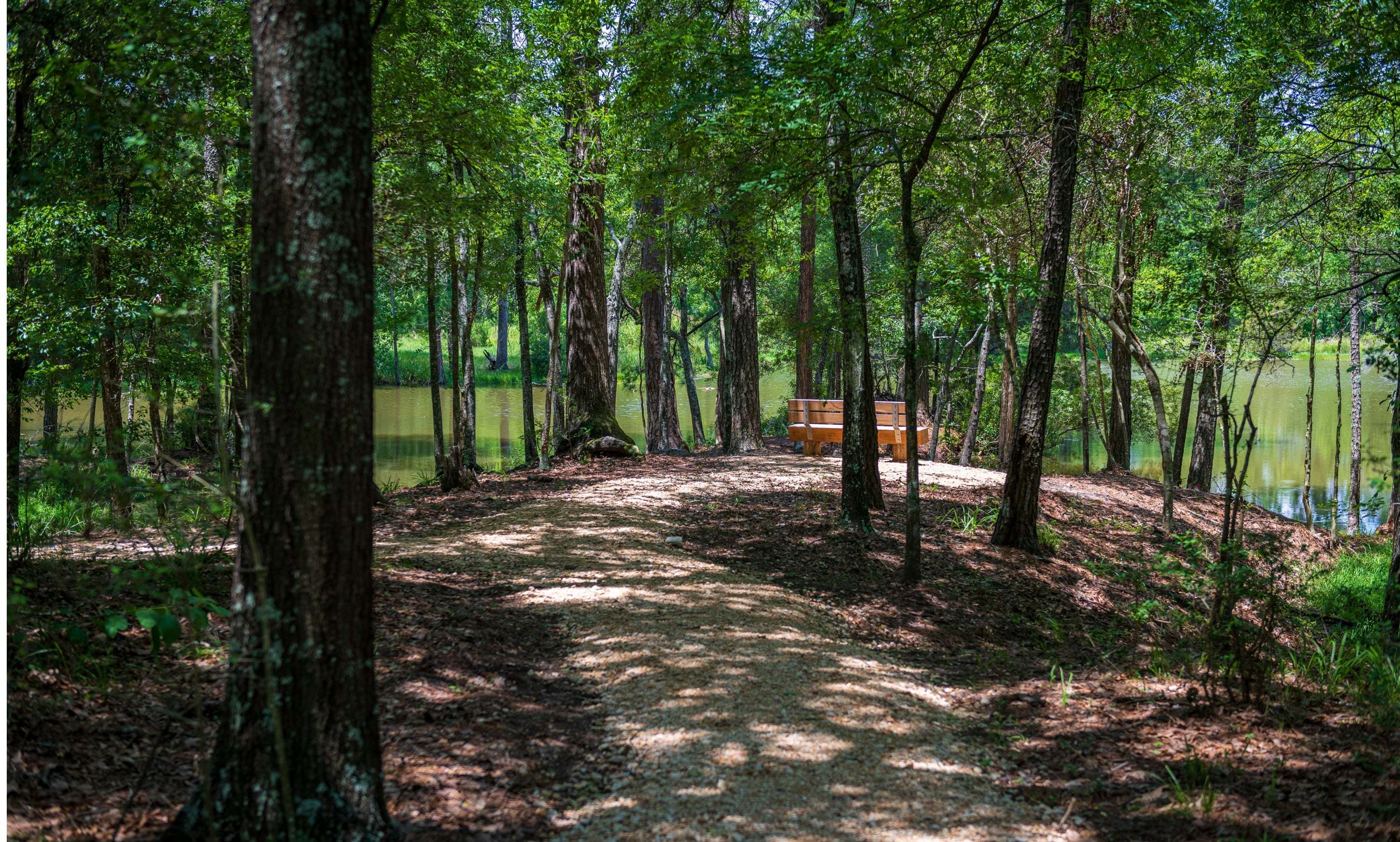 Chambers Creek Walking Trail