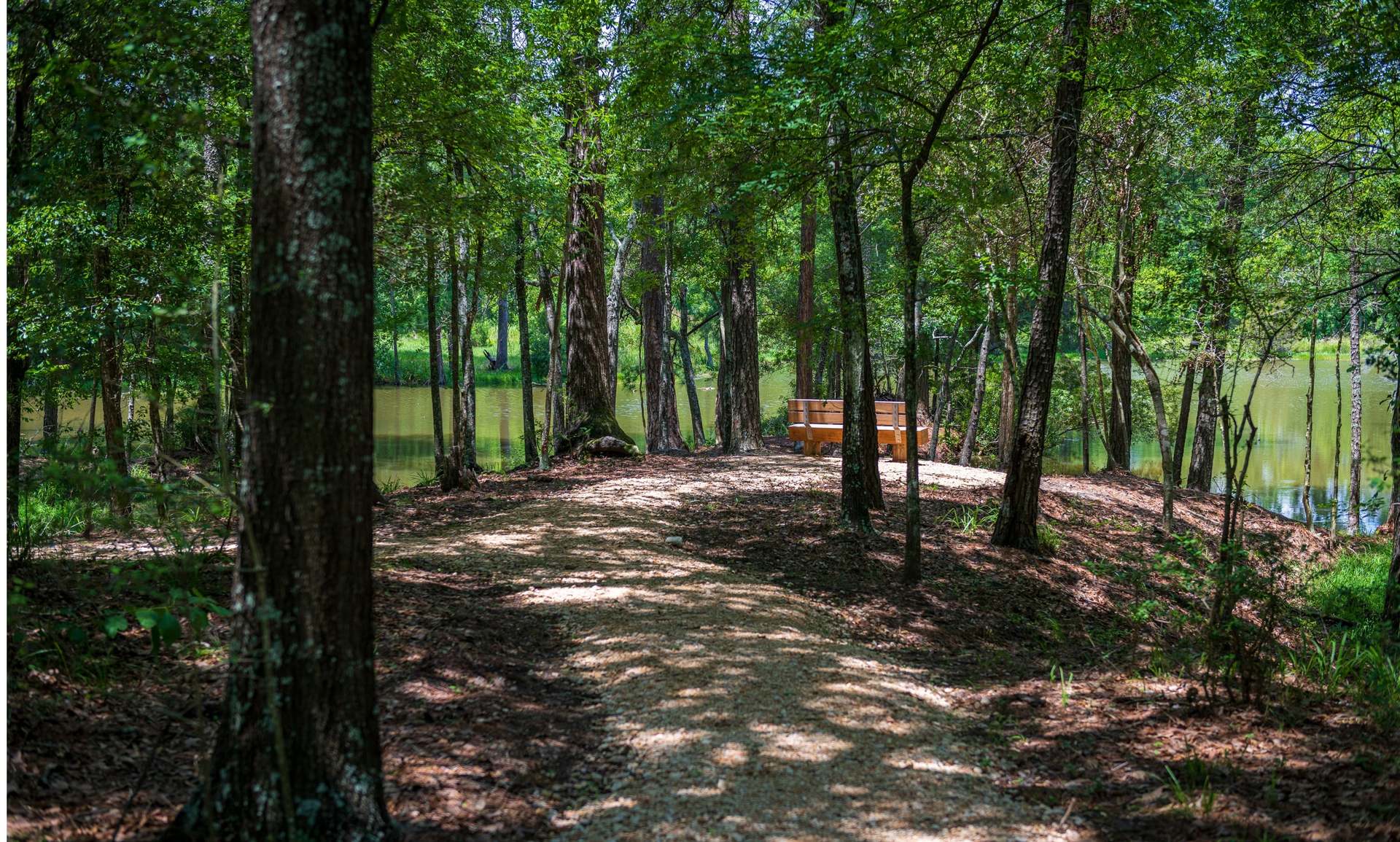 Chambers Creek Walking Trail