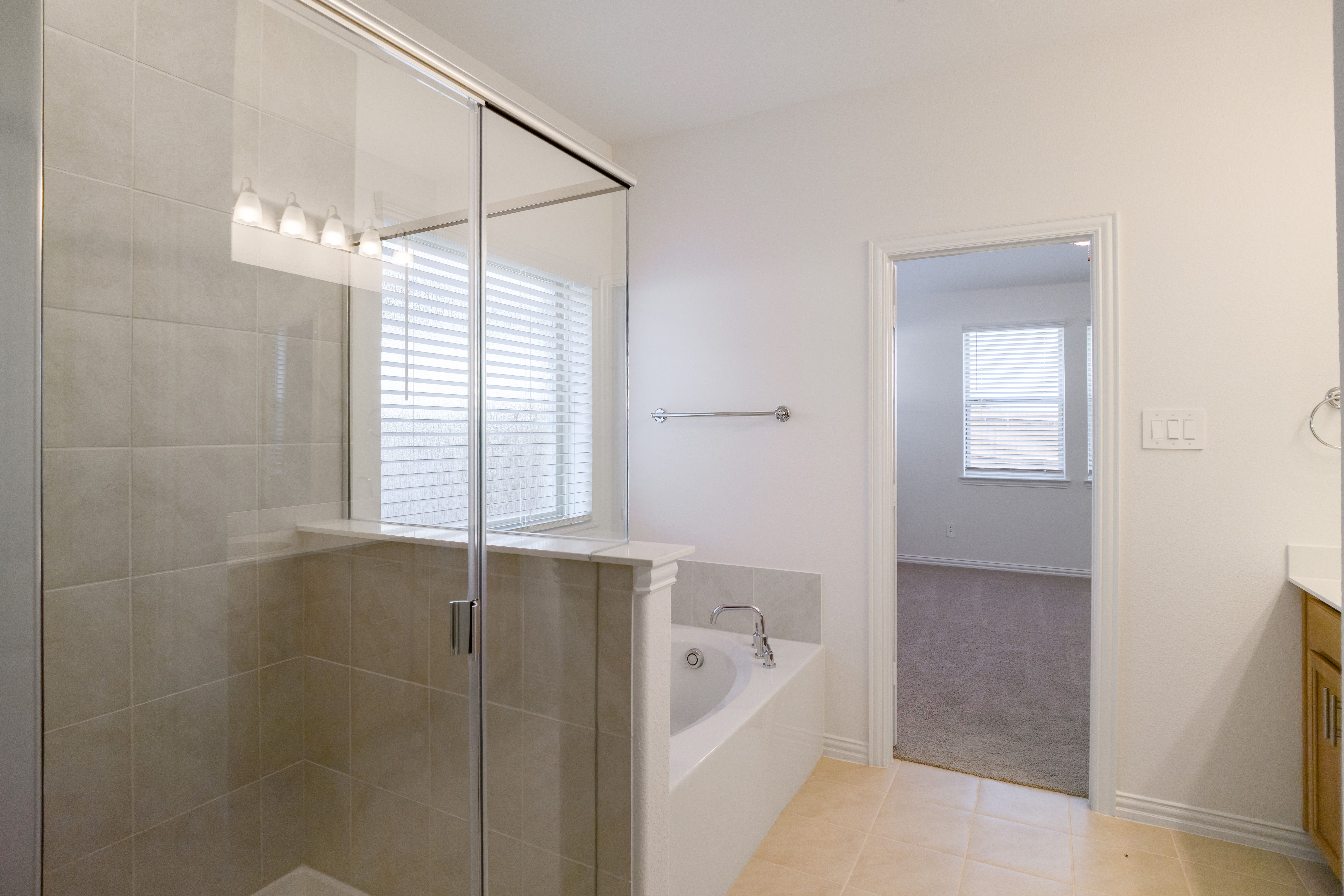 Sage Primary Bathroom