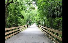 Canopy: Casselberry, Florida - Beazer Homes