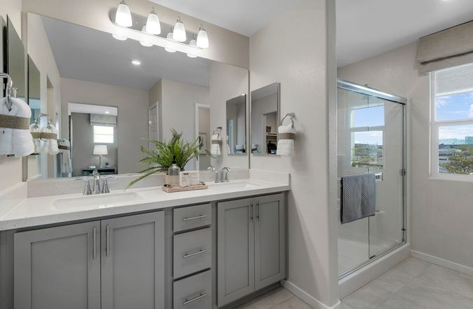 Albany Primary Bathroom