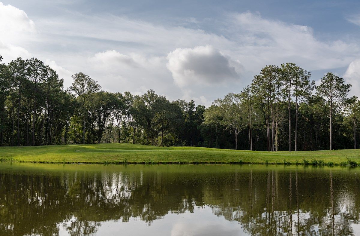 Golf Course and Pond