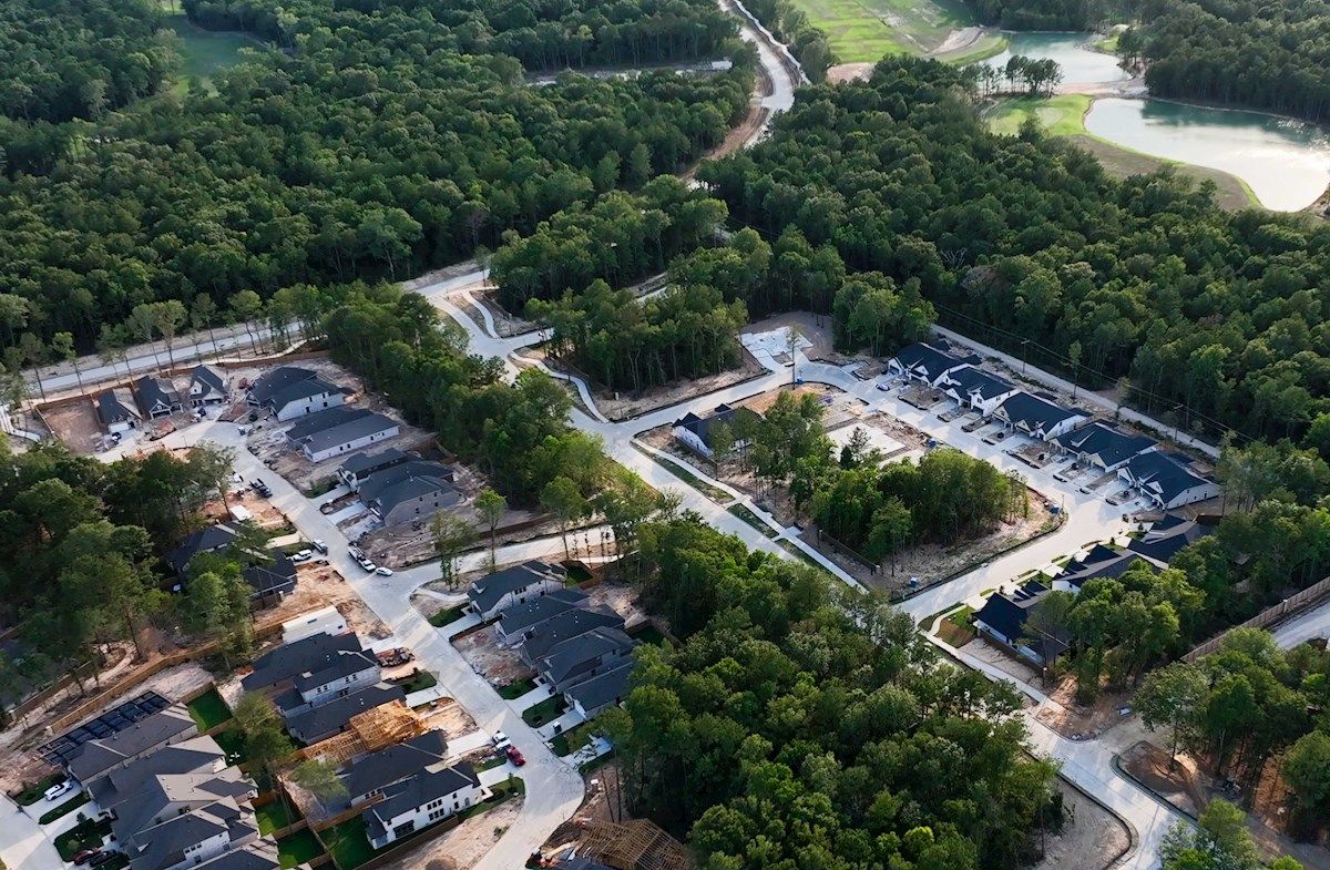 Natural Beauty At The Highlands