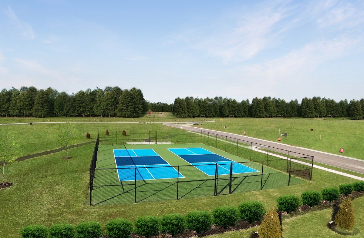 Community Pickleball Courts