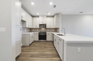 Bradford - Gatherings® of Lake Nona: Orlando, Florida - Beazer Homes