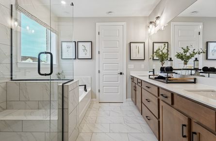 Buchanan Primary Bathroom