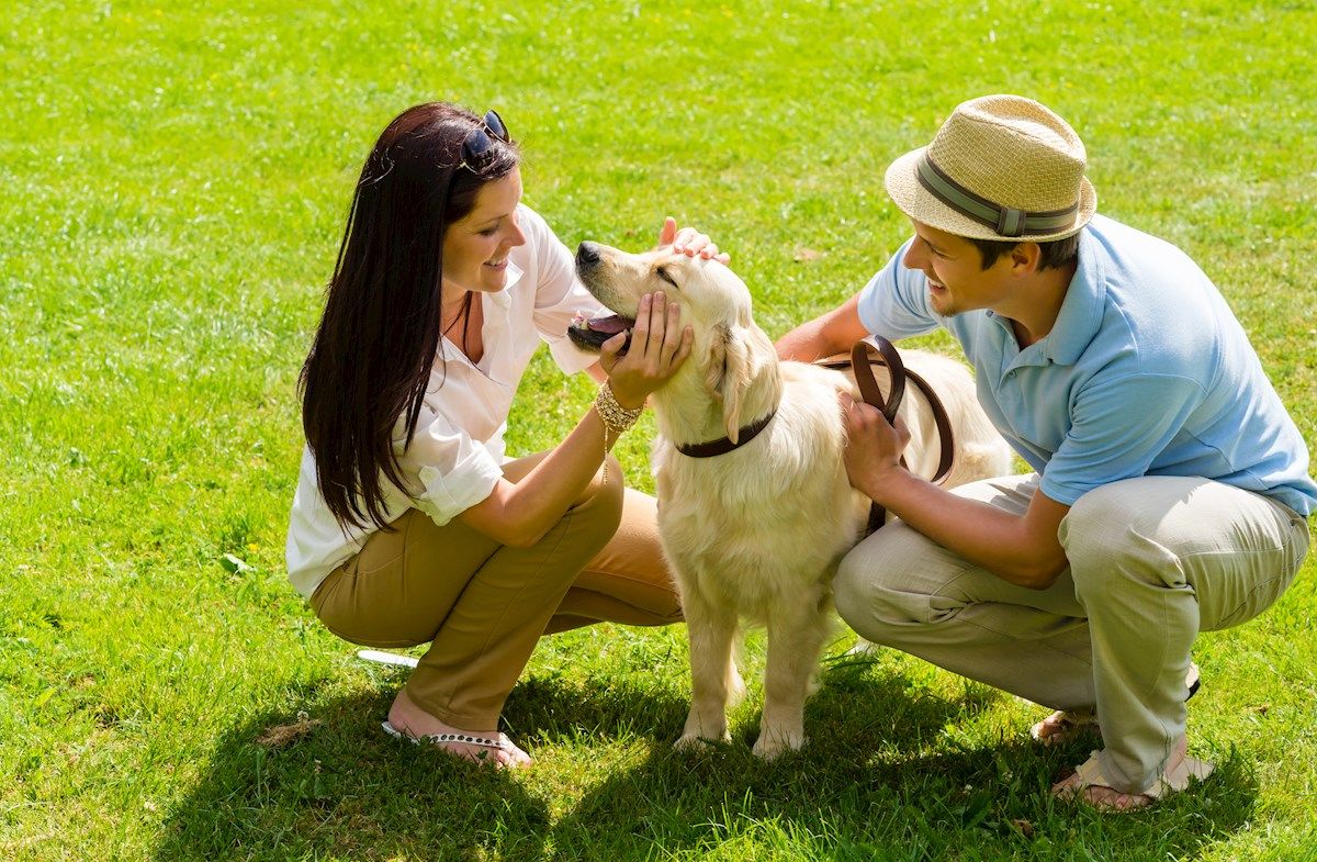 Future Community Dog Park