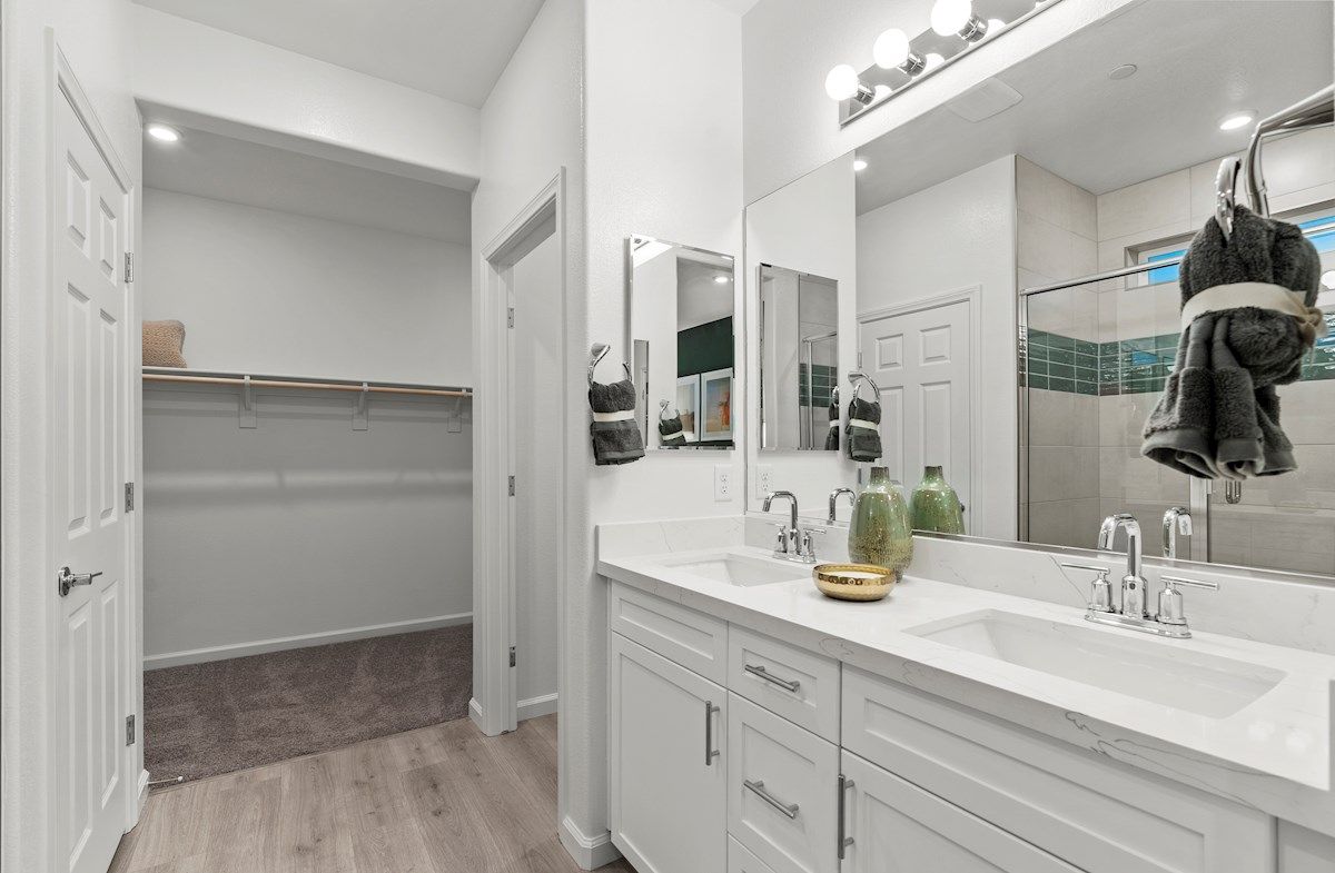 Willow Primary Bathroom