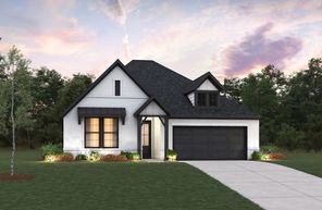 19311 Wild Sabino Way (Palmetto)