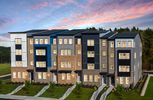 Paddock Pointe - Laurel, MD