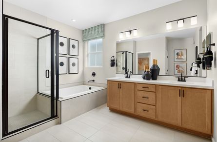 Aurora Primary Bathroom