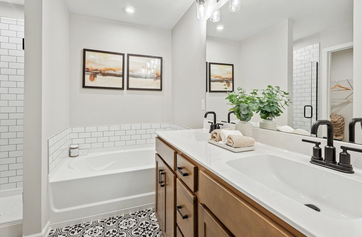 Harding Primary Bathroom