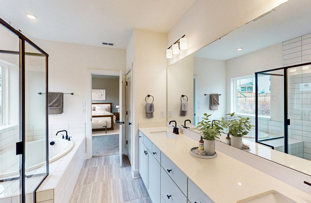 Alexander Primary Bathroom