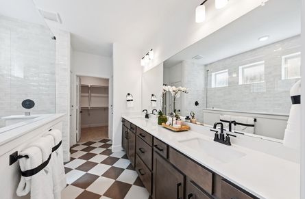 Brazos Primary Bathroom