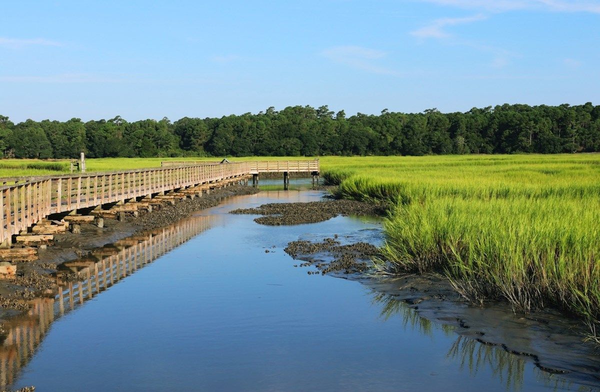 Huntington State Park Murrells Inlet, SC