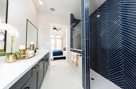 Serendipity Master Bath