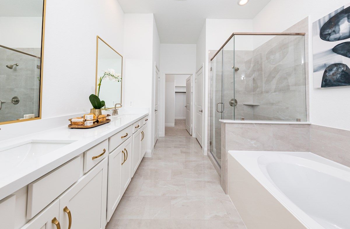 Reflection Primary Bath