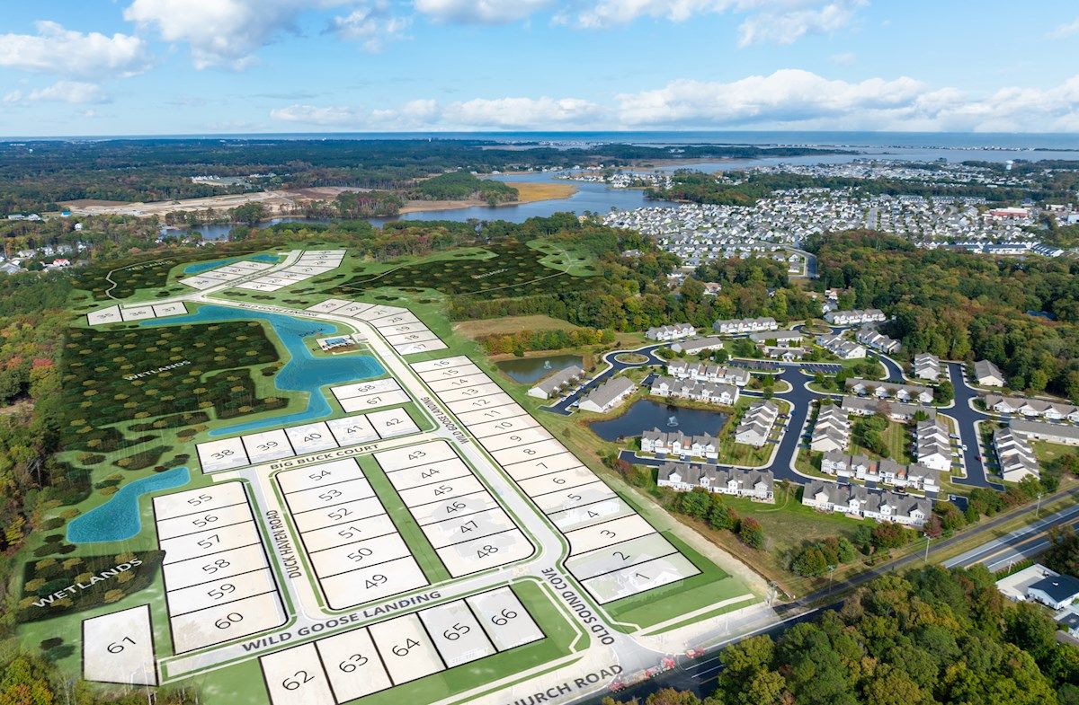 Aerial Community View