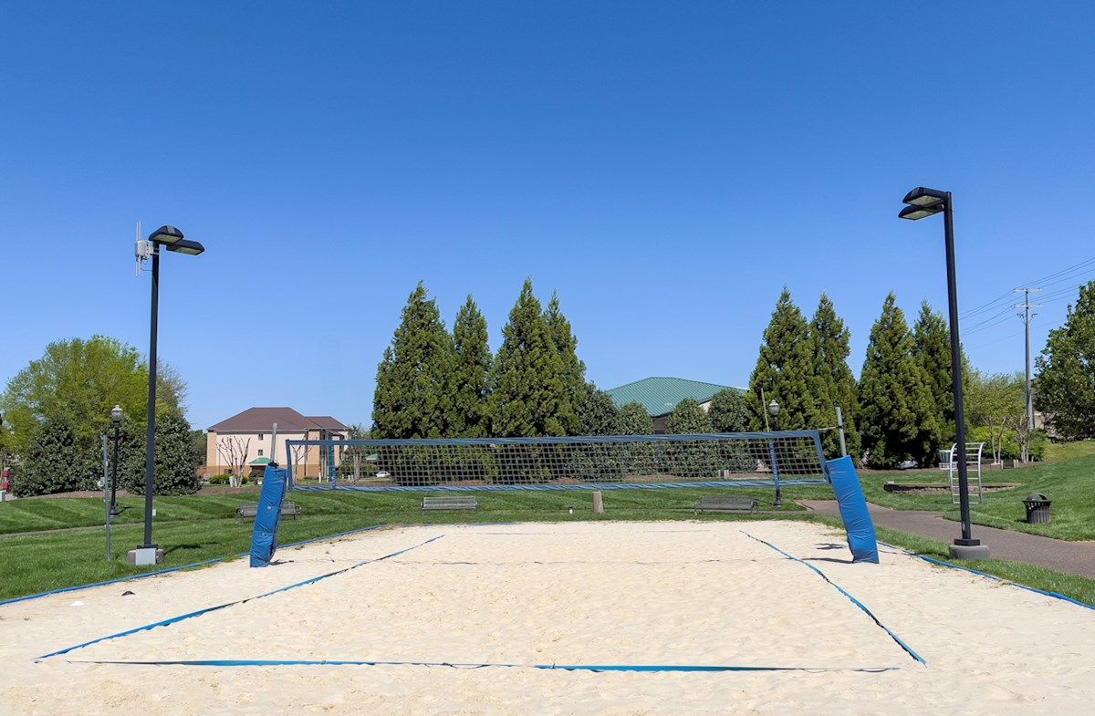 Volleyball Court