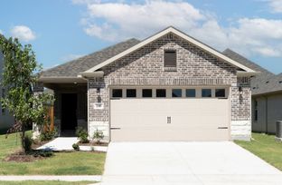 Daisy - Churchill - Fields 40': Anna, Texas - Beazer Homes