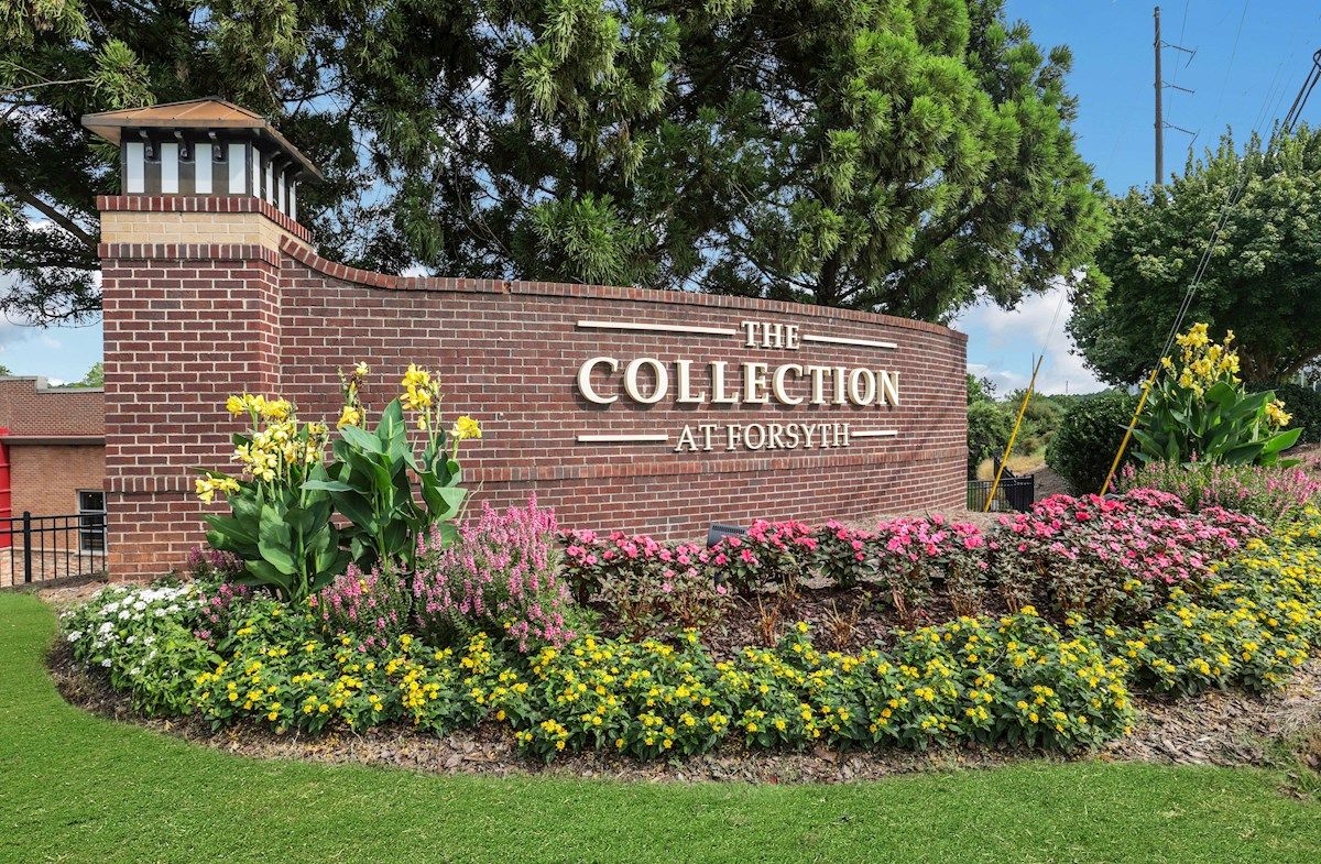 The Collection at Forsyth