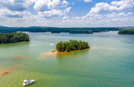 Lake Lanier 3 Miles Away