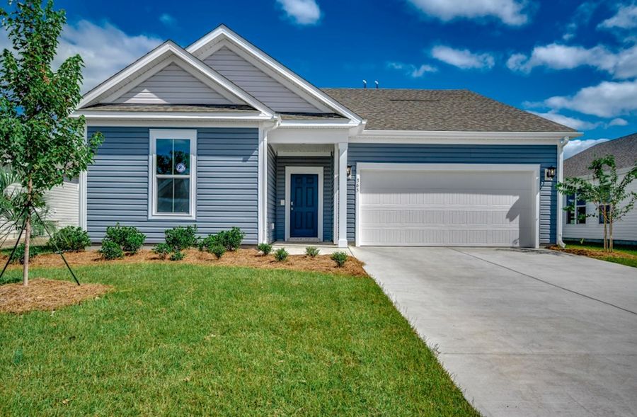 365 Kapalua Loop (Georgetown)