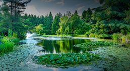 Annecy Community Image