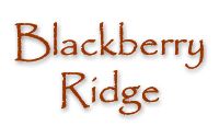 Blackberry Ridge/Silvestri Custom Homes - Elburn, IL