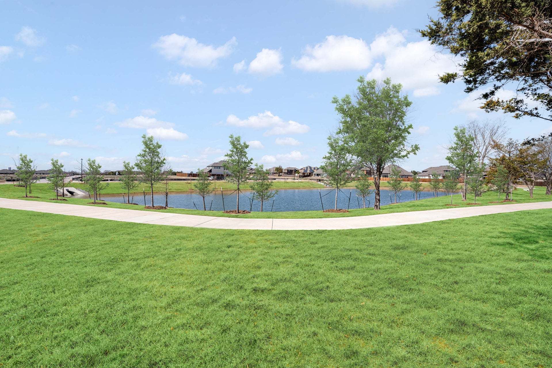 Pond