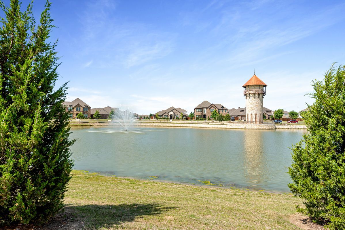 Pond