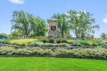 Willow Wood - McKinney, TX